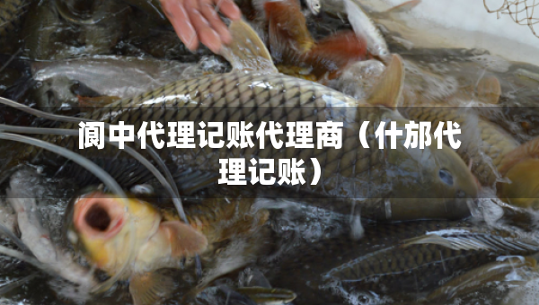 閬中代理記賬代理商(什邡代理記賬) 閬中代理記賬代理商(什邡代理記賬)