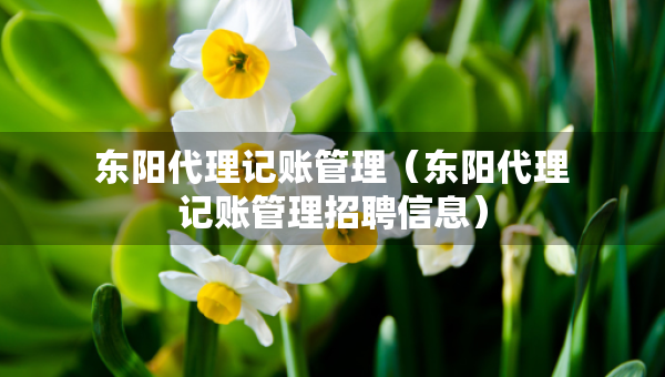 東陽代理記賬管理(東陽代理記賬管理招聘信息) 東陽代理記賬管理(東陽代理記賬管理招聘信息)