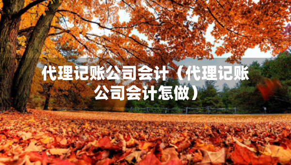代理記賬公司會計(代理記賬公司會計怎做) 代理記賬公司會計(代理記賬公司會計怎做)