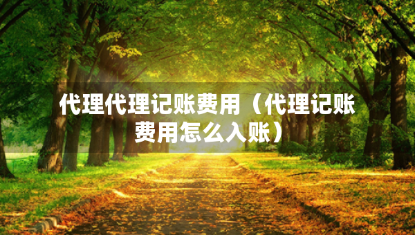 代理代理記賬費(fèi)用（代理記賬費(fèi)用怎么入賬）