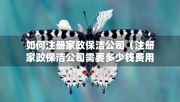 如何注冊家政保潔公司(注冊家政保潔公司需要多少錢費用) 如何注冊家政保潔公司(注冊家政保潔公司需要多少錢費用)