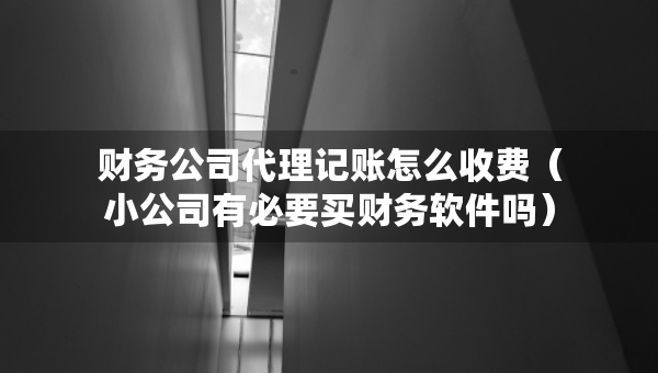 財務(wù)公司代理記賬怎么收費(小公司有必要買財務(wù)軟件嗎) 財務(wù)公司代理記賬怎么收費(小公司有必要買財務(wù)軟件嗎)
