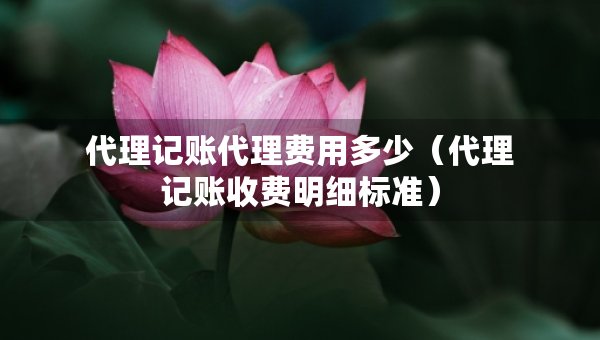 代理記賬代理費(fèi)用多少(代理記賬收費(fèi)明細(xì)標(biāo)準(zhǔn)) 代理記賬代理費(fèi)用多少(代理記賬收費(fèi)明細(xì)標(biāo)準(zhǔn))