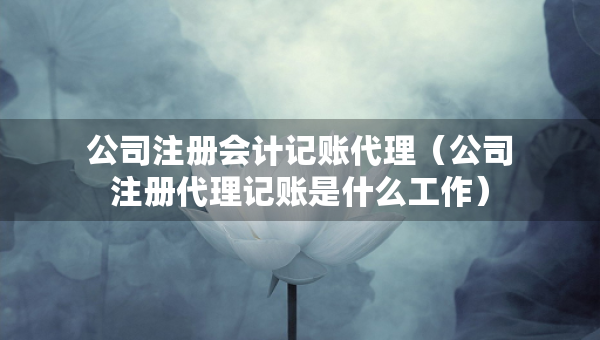 公司注冊(cè)會(huì)計(jì)記賬代理（公司注冊(cè)代理記賬是什么工作）