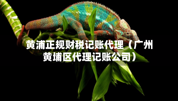 黃浦正規(guī)財稅記賬代理(廣州黃埔區(qū)代理記賬公司) 黃浦正規(guī)財稅記賬代理(廣州黃埔區(qū)代理記賬公司)