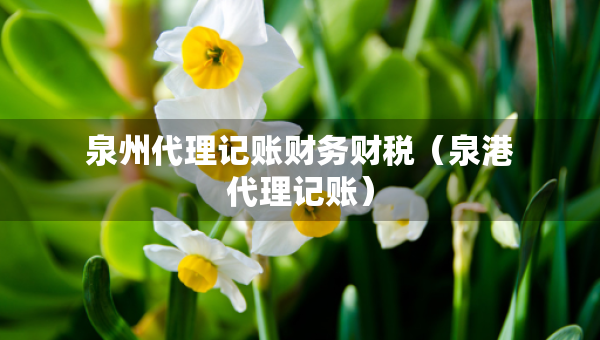 泉州代理記賬財務財稅(泉港代理記賬) 泉州代理記賬財務財稅(泉港代理記賬)