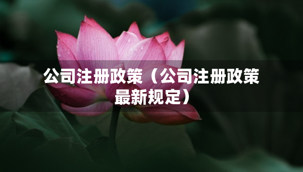 公司注冊(cè)政策(公司注冊(cè)政策最新規(guī)定) 公司注冊(cè)政策(公司注冊(cè)政策最新規(guī)定)