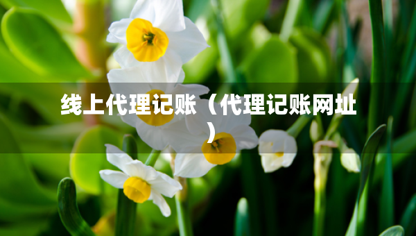 線上代理記賬(代理記賬網(wǎng)址) 線上代理記賬(代理記賬網(wǎng)址)
