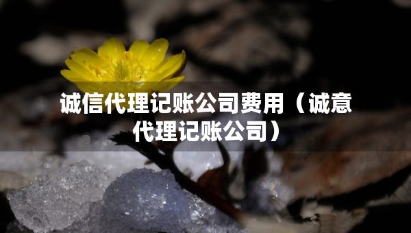 誠信代理記賬公司費用(誠意代理記賬公司) 誠信代理記賬公司費用(誠意代理記賬公司)
