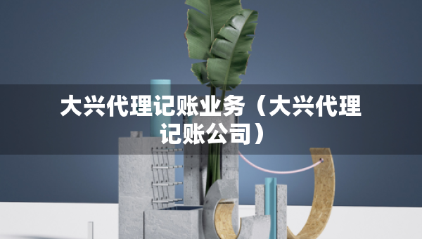 大興代理記賬業(yè)務(wù)（大興代理記賬公司）