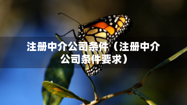 注冊中介公司條件(注冊中介公司條件要求) 注冊中介公司條件(注冊中介公司條件要求)