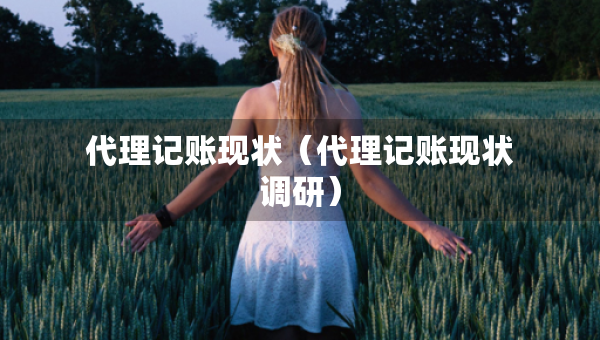 代理記賬現(xiàn)狀（代理記賬現(xiàn)狀調(diào)研）