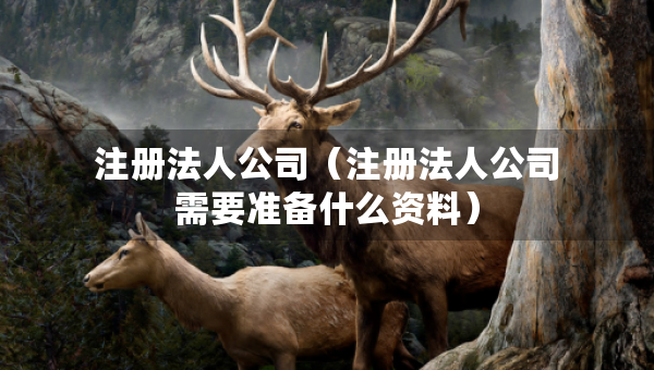 注冊(cè)法人公司（注冊(cè)法人公司需要準(zhǔn)備什么資料）