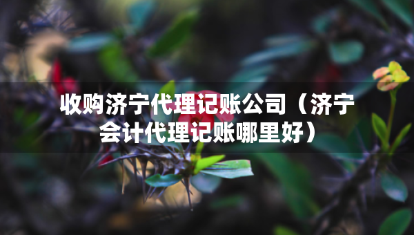 收購濟(jì)寧代理記賬公司（濟(jì)寧會計(jì)代理記賬哪里好）