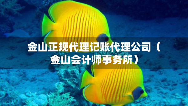 金山正規(guī)代理記賬代理公司(金山會(huì)計(jì)師事務(wù)所) 金山正規(guī)代理記賬代理公司(金山會(huì)計(jì)師事務(wù)所)