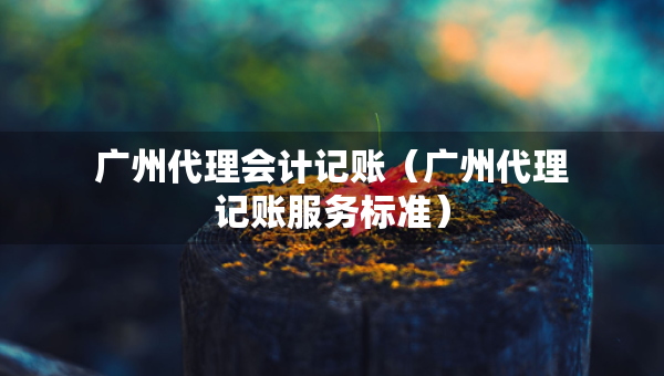 廣州代理會計記賬（廣州代理記賬服務(wù)標(biāo)準(zhǔn)）