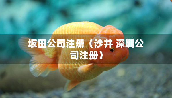 坂田公司注冊(沙井 深圳公司注冊) 坂田公司注冊(沙井 深圳公司注冊)