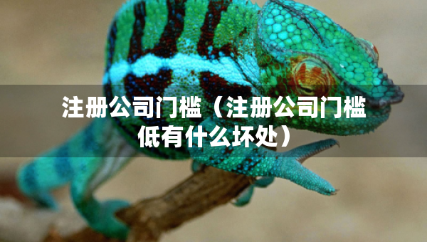 注冊公司門檻（注冊公司門檻低有什么壞處）