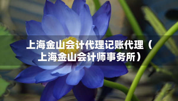 上海金山會(huì)計(jì)代理記賬代理(上海金山會(huì)計(jì)師事務(wù)所) 上海金山會(huì)計(jì)代理記賬代理(上海金山會(huì)計(jì)師事務(wù)所)