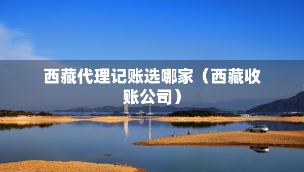 西藏代理記賬選哪家(西藏收賬公司) 西藏代理記賬選哪家(西藏收賬公司)