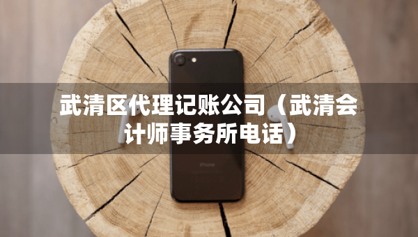 武清區(qū)代理記賬公司(武清會(huì)計(jì)師事務(wù)所電話) 武清區(qū)代理記賬公司(武清會(huì)計(jì)師事務(wù)所電話)