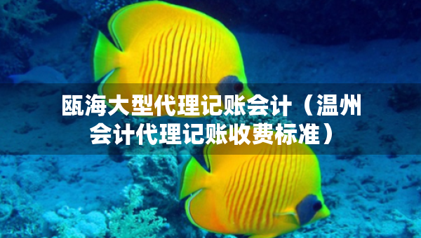 甌海大型代理記賬會計（溫州會計代理記賬收費標準）