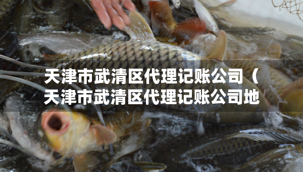 天津市武清區(qū)代理記賬公司(天津市武清區(qū)代理記賬公司地址) 天津市武清區(qū)代理記賬公司(天津市武清區(qū)代理記賬公司地址)