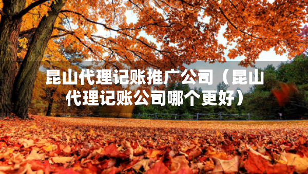 昆山代理記賬推廣公司（昆山代理記賬公司哪個更好）