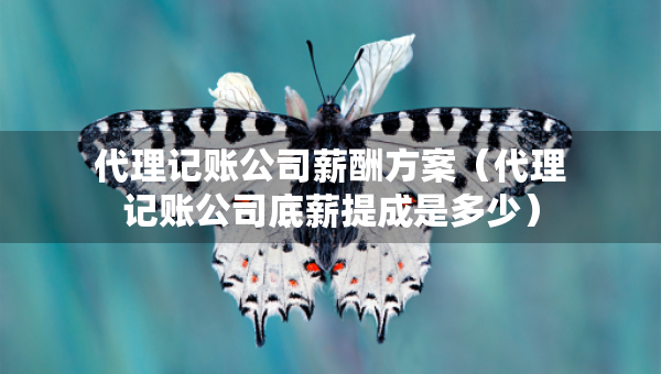 代理記賬公司薪酬方案（代理記賬公司底薪提成是多少）