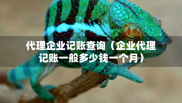 代理企業(yè)記賬查詢(企業(yè)代理記賬一般多少錢一個月) 代理企業(yè)記賬查詢(企業(yè)代理記賬一般多少錢一個月)
