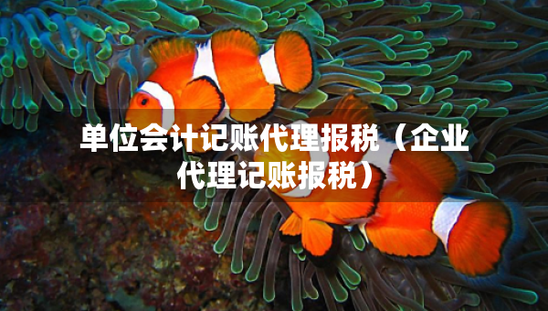 單位會(huì)計(jì)記賬代理報(bào)稅（企業(yè)代理記賬報(bào)稅）
