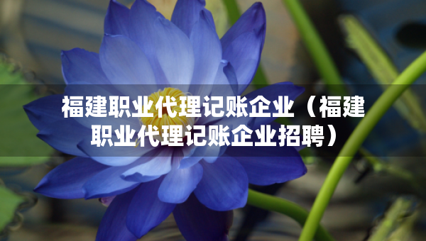 福建職業(yè)代理記賬企業(yè)（福建職業(yè)代理記賬企業(yè)招聘）