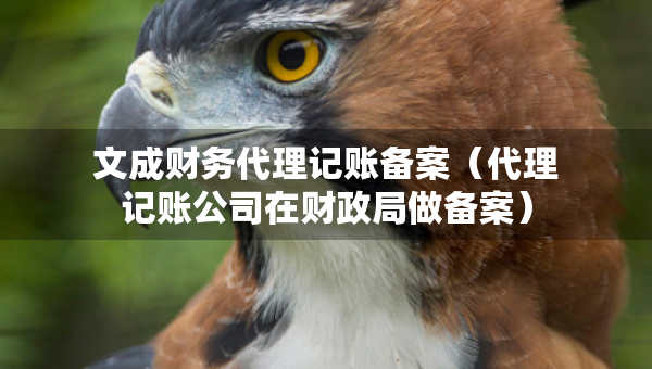 文成財務代理記賬備案(代理記賬公司在財政局做備案) 文成財務代理記賬備案(代理記賬公司在財政局做備案)