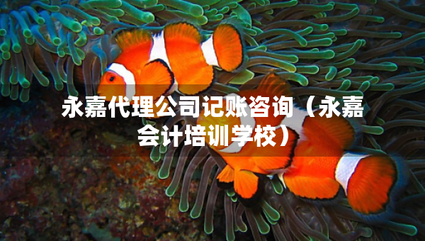 永嘉代理公司記賬咨詢(永嘉會計(jì)培訓(xùn)學(xué)校) 永嘉代理公司記賬咨詢(永嘉會計(jì)培訓(xùn)學(xué)校)