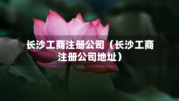 長沙工商注冊公司(長沙工商注冊公司地址) 長沙工商注冊公司(長沙工商注冊公司地址)