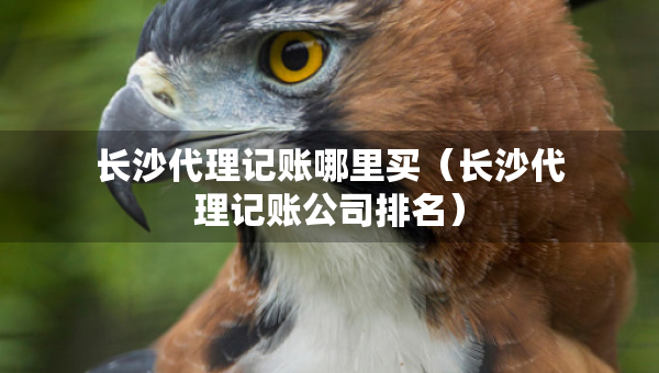 長沙代理記賬哪里買(長沙代理記賬公司排名) 長沙代理記賬哪里買(長沙代理記賬公司排名)