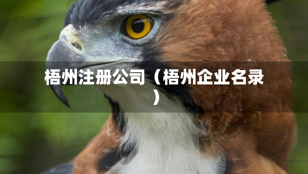 梧州注冊公司(梧州企業(yè)名錄) 梧州注冊公司(梧州企業(yè)名錄)