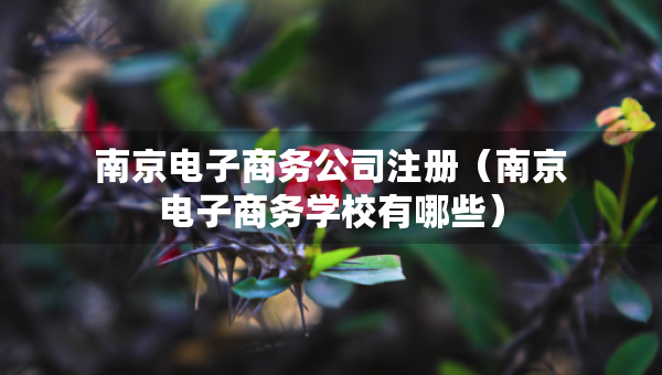 南京電子商務(wù)公司注冊(南京電子商務(wù)學(xué)校有哪些) 南京電子商務(wù)公司注冊(南京電子商務(wù)學(xué)校有哪些)