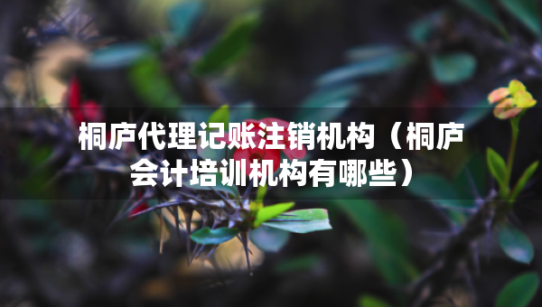 桐廬代理記賬注銷機(jī)構(gòu)(桐廬會(huì)計(jì)培訓(xùn)機(jī)構(gòu)有哪些) 桐廬代理記賬注銷機(jī)構(gòu)(桐廬會(huì)計(jì)培訓(xùn)機(jī)構(gòu)有哪些)