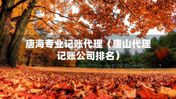 唐海專業(yè)記賬代理(唐山代理記賬公司排名) 唐海專業(yè)記賬代理(唐山代理記賬公司排名)