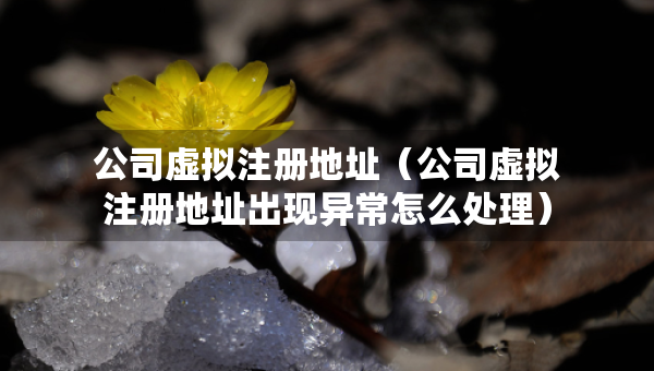 公司虛擬注冊(cè)地址(公司虛擬注冊(cè)地址出現(xiàn)異常怎么處理) 公司虛擬注冊(cè)地址(公司虛擬注冊(cè)地址出現(xiàn)異常怎么處理)