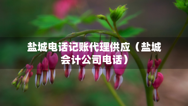 鹽城電話記賬代理供應(yīng)(鹽城會(huì)計(jì)公司電話) 鹽城電話記賬代理供應(yīng)(鹽城會(huì)計(jì)公司電話)