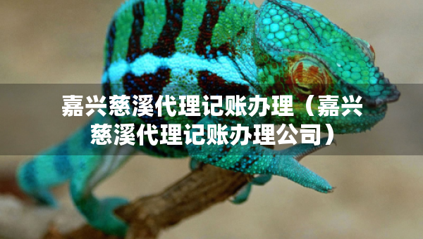 嘉興慈溪代理記賬辦理（嘉興慈溪代理記賬辦理公司）