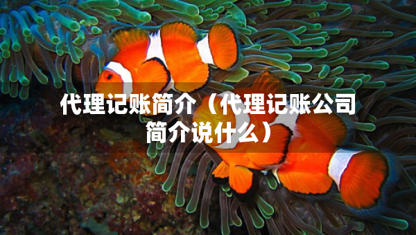 代理記賬簡(jiǎn)介（代理記賬公司簡(jiǎn)介說什么）