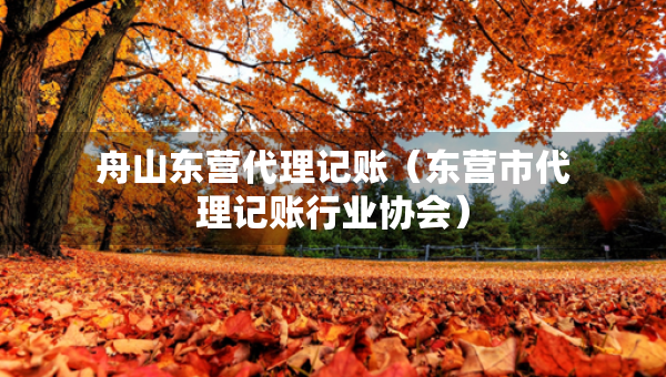 舟山東營代理記賬(東營市代理記賬行業(yè)協(xié)會) 舟山東營代理記賬(東營市代理記賬行業(yè)協(xié)會)
