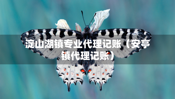 淀山湖鎮(zhèn)專業(yè)代理記賬(安亭鎮(zhèn)代理記賬) 淀山湖鎮(zhèn)專業(yè)代理記賬(安亭鎮(zhèn)代理記賬)