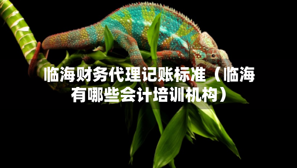 臨海財(cái)務(wù)代理記賬標(biāo)準(zhǔn)（臨海有哪些會(huì)計(jì)培訓(xùn)機(jī)構(gòu)）