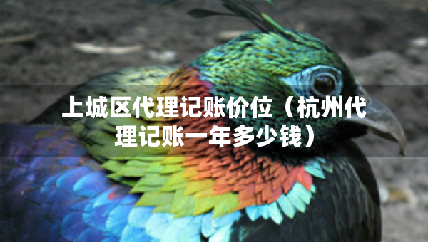 上城區(qū)代理記賬價(jià)位（杭州代理記賬一年多少錢）