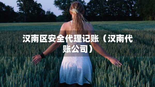 漢南區(qū)安全代理記賬(漢南代賬公司) 漢南區(qū)安全代理記賬(漢南代賬公司)