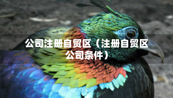公司注冊自貿(mào)區(qū)(注冊自貿(mào)區(qū)公司條件) 公司注冊自貿(mào)區(qū)(注冊自貿(mào)區(qū)公司條件)